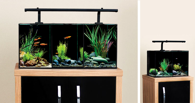 Betta Mono Duo Trio Aquarium Spares Accessories Buy Aqua One With Confidence At Aquarium Parts